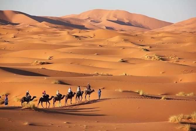 Merzouga Camel Trekking Camp Buitenkant foto